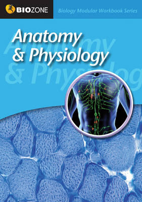 Anatomy and Physiology Modular Workbook (Paperback)