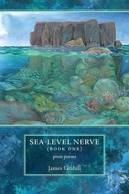 Sea-Level Nerve: Book One (Paperback)