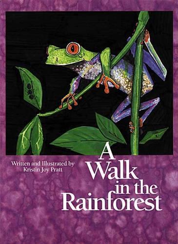 A Walk in the Rainforest (Paperback)