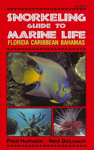 Snorkeling Guide to Marine Life: Florida, Caribbean, Bahamas (Paperback)