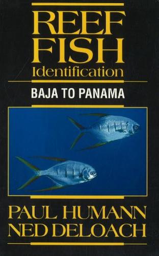 Reef Fish Identification: Baja to Panama (Paperback)