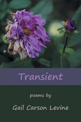 Transient (Paperback)