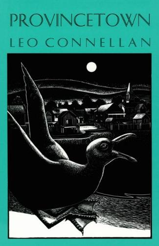 Provincetown and Other Poems (Paperback)