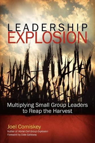 Leadership Explosion: Multiplying Cell Group Leaders to Reap the Harvest (Paperback)