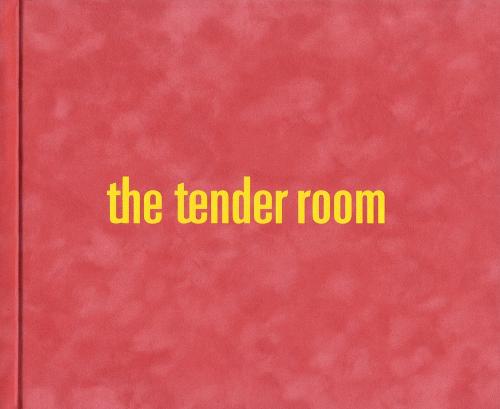 Pipilotti Rist - the Tender Room (Paperback)