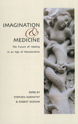 Imagination and Medicine: The Future of Healing in an Age of Neuroscience (Paperback)