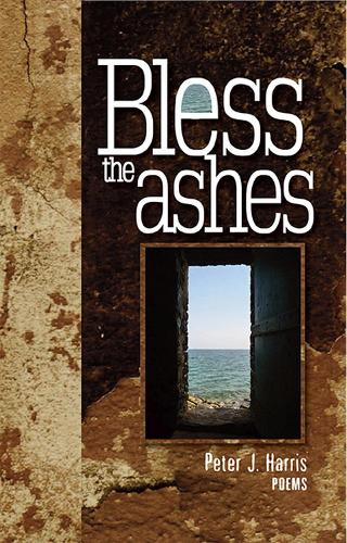 Bless the Ashes: Poems (Paperback)