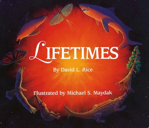 Lifetimes (Paperback)