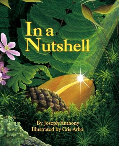 In a Nutshell (Paperback)