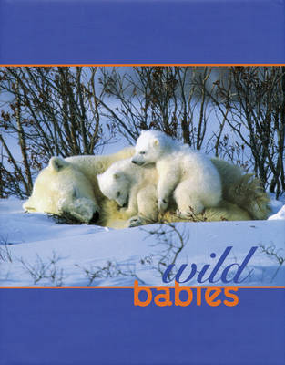 Wild Babies (Hardback)