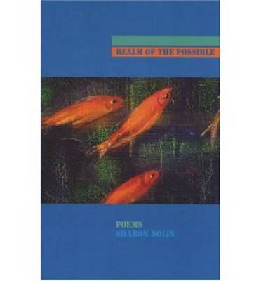 Realm of the Possible (Paperback)