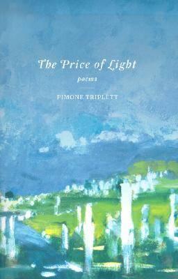 The Price of Light (Paperback)