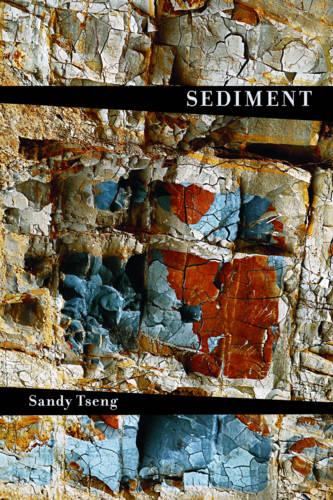 Sediment (Paperback)