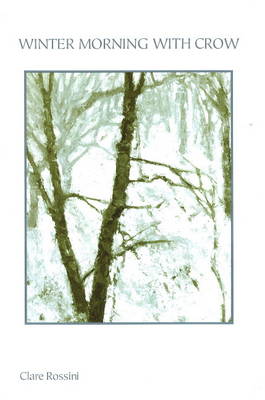 Winter Morning with Crow (Paperback)