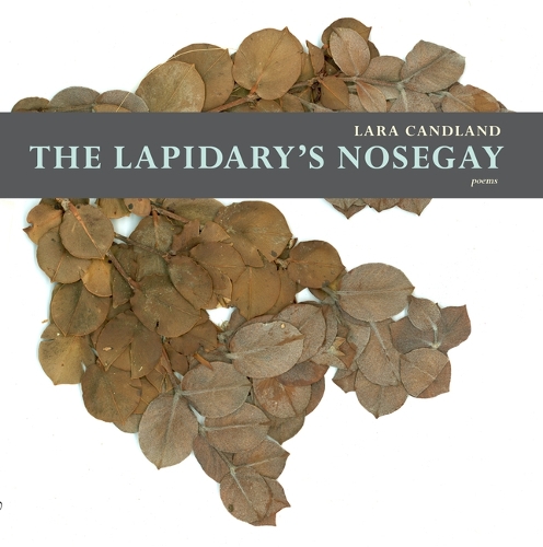 The Lapidary's Nosegay - Mountain West Poetry (Paperback)