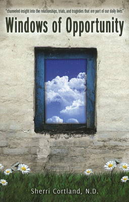 Windows of Opportunity (Paperback)