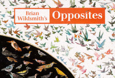 Opposites (Board book)