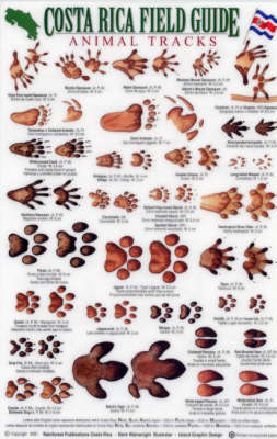 Animal Tracks - Costa Rica Field Guides S.
