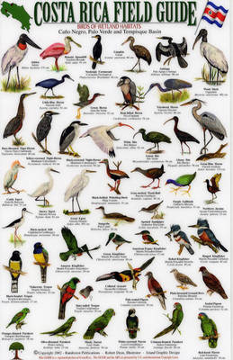 Birds of Wetland Habitats: Cano Negro, Palo Verde and Tempisque Basin - Costa Rica Field Guides S.