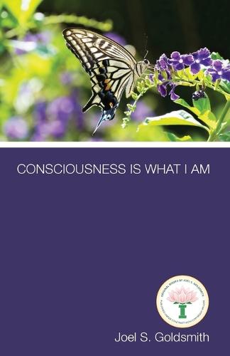 Consciousness is What I am (Paperback)