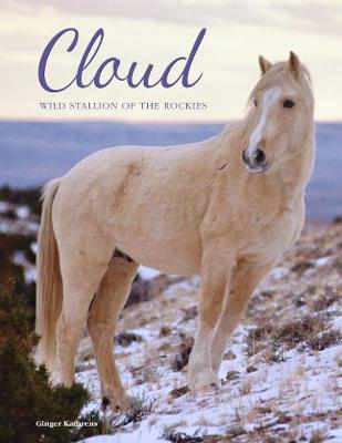 Cloud: Wild Stallion of the Rockies, Revised and Updated (Hardback)