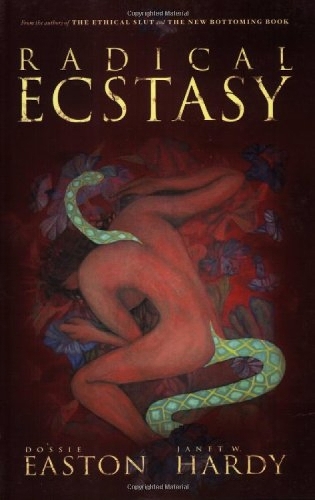 Radical Ecstasy (Paperback)