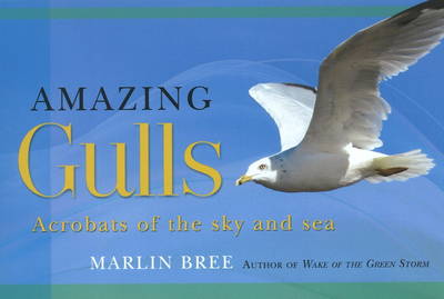 Amazing Gulls: Acrobats of the Sky and Sea (Paperback)