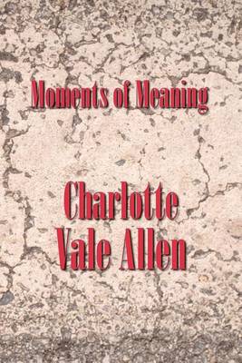 Moments of Meaning (Paperback)