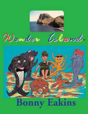 Wonder Island (Paperback)