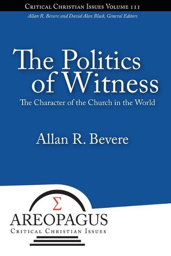 The Politics of Witness (Paperback)