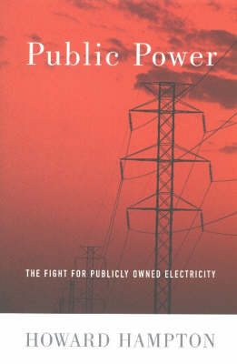 Public Power: The Fight for Publicly Owned Electricity (Paperback)