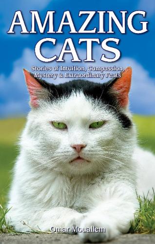 Amazing Cats: Stories of Intuition, Compassion, Mystery & Extraordinary Feats (Paperback)