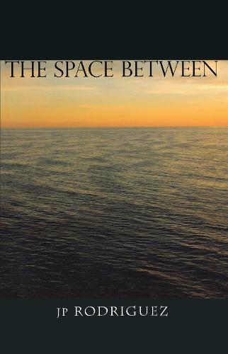 The Space Between (Paperback)