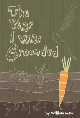 The Year I Was Grounded (Paperback)