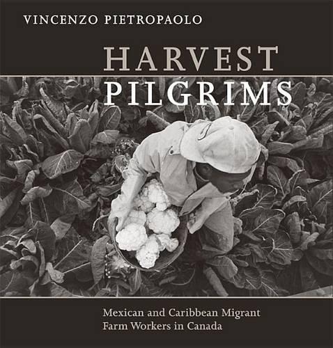 Harvest Pilgrims: Mexican and Caribbean Migrant Farm Workers in Canada (Paperback)