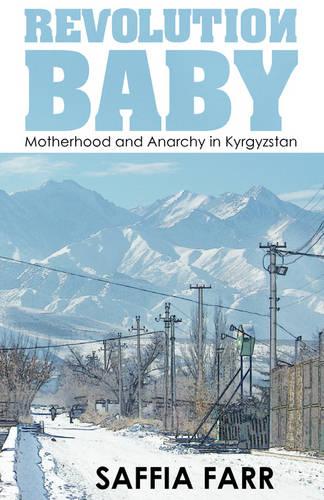 Revolution Baby (Paperback)