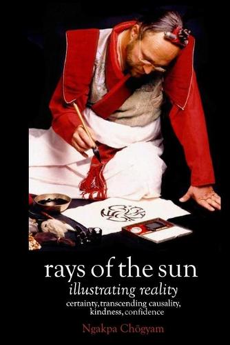 Rays of the Sun: Illustrating Reality (Paperback)