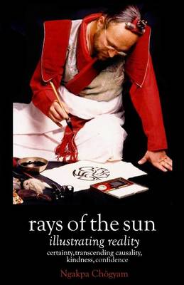 Rays of the Sun: Illustrating Reality (Hardback)