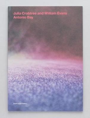 Antonio Bay (Paperback)