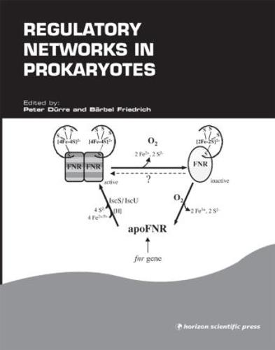 Regulatory Networks in Prokaryotes (Hardback)