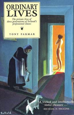 Ordinary Lives: Private Worlds of Ireland's Professional Classes (Paperback)
