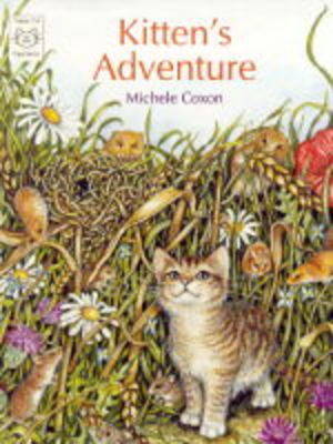 Kitten's Adventure (Hardback)