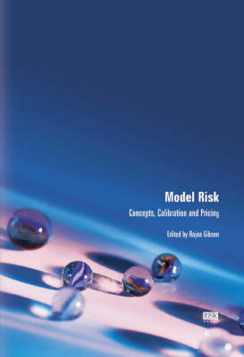 Model Risk: Concepts, Calibration and Pricing (Hardback)