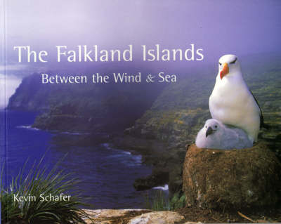 The Falkland Islands: Between the Wind and Sea (Paperback)