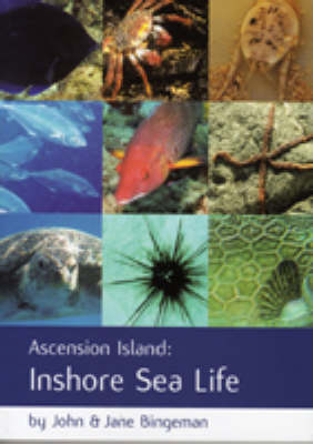 Ascension Island: Inshore Sea Life (Paperback)