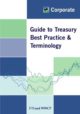 Guide to Treasury Best Practice and Terminology (Paperback)