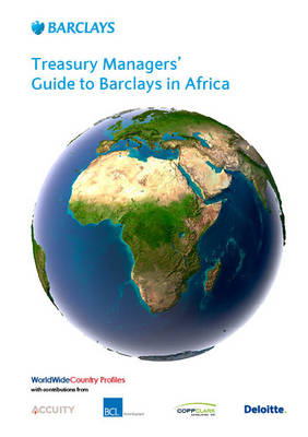 Treasury Managers' Guide to Barclays in Africa 2014 (Paperback)