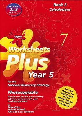 Worksheets Plus for the National Numeracy Strategy Year 5: Calculations Book 2 - Worksheets Plus