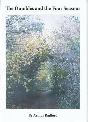 The Dumbles and the Four Seasons (Paperback)