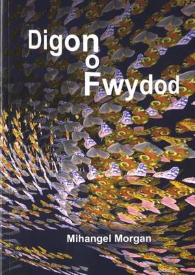 Digon o Fwydod (Paperback)